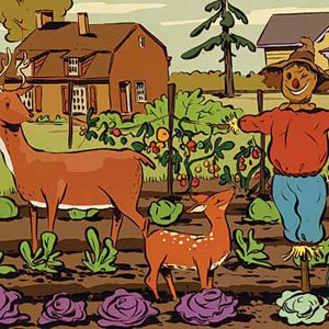 How to Keep Plant-Eating Animals at Bay via <a href="/ThisOldHouse/">This Old House</a> ow.ly/ZrJWt