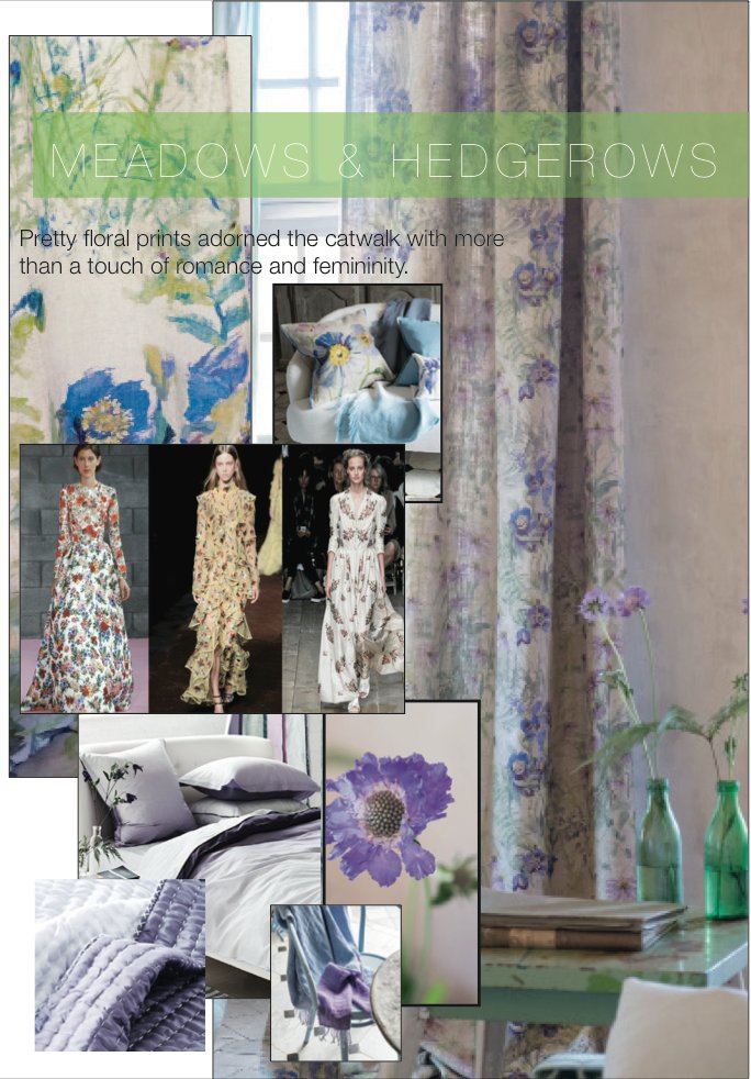Designers Guild tweet media