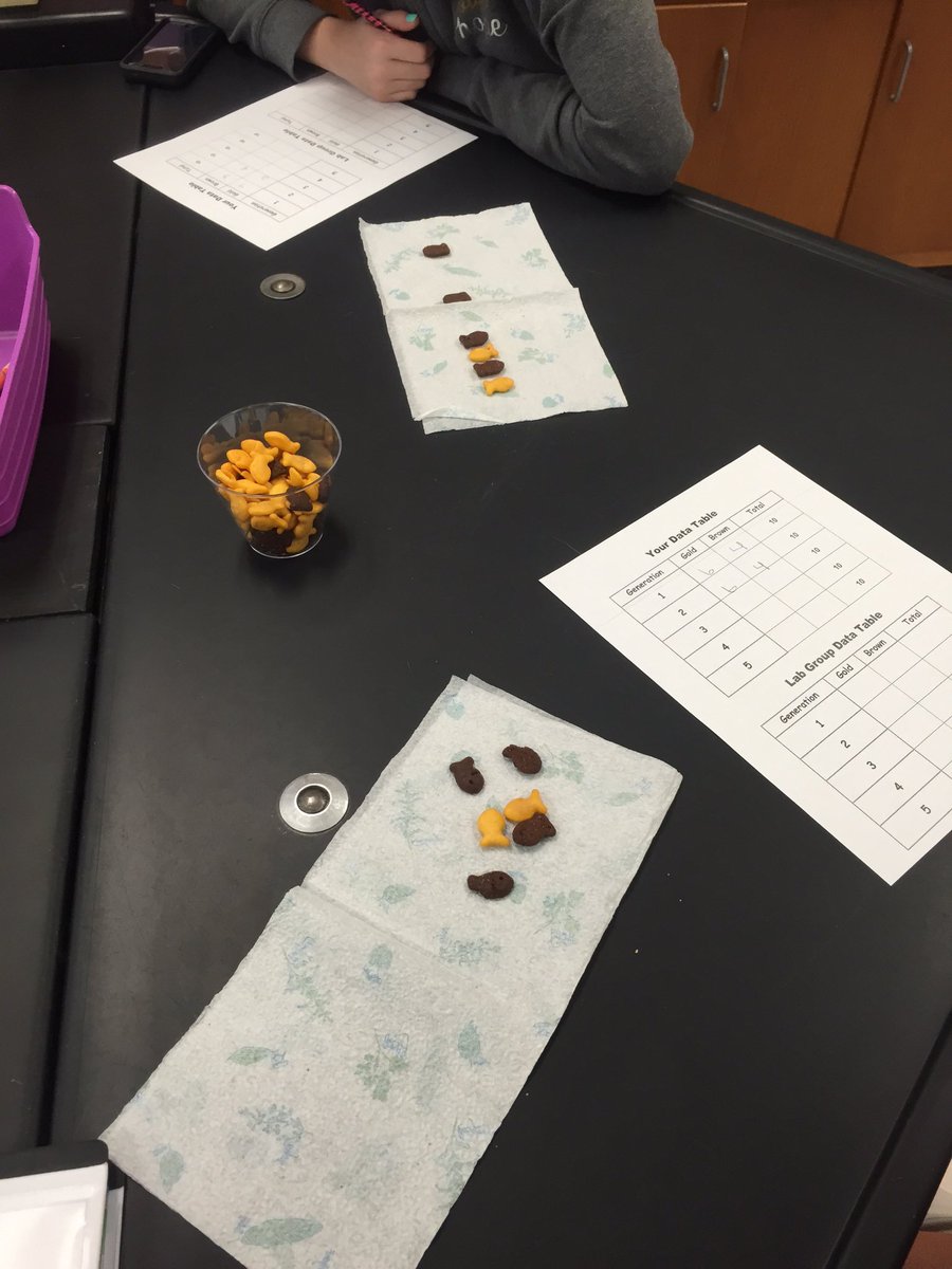 SCIENCEin406's tweet photo. My students are carnivores and prefer GOLDfish!  How will our population change over time? #Natural Selection https://t.co/7I397oFGsV