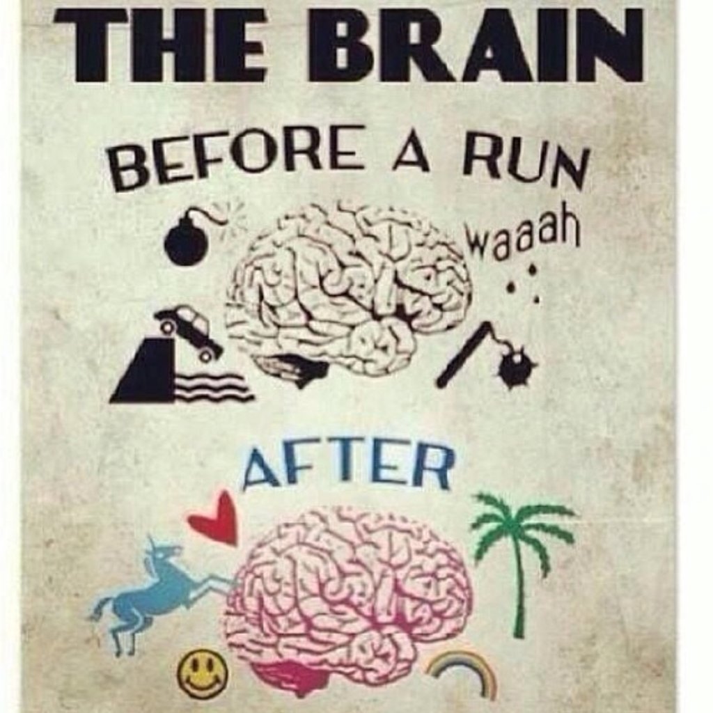 BestProFitness's tweet photo. So true https://t.co/dru1qlDzmD