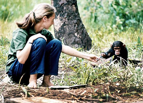 T O R O N T O 🍁 (@Toronto) on Twitter photo 2016-03-21 16:30:55 CONTEST reminder: Win 2 VIP tickets to see Jane Goodall, April 12 at @SonyCentreTO! RT to enter. #mondaymotivation CONTEST reminder: Win 2 VIP tickets to see Jane Goodall, April 12 at @SonyCentreTO! RT to enter. #mondaymotivation