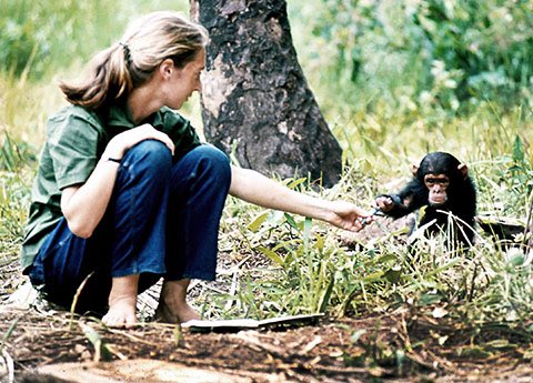 CONTEST reminder: Win 2 VIP tickets to see Jane Goodall, April 12 at @SonyCentreTO! RT to enter. #mondaymotivation