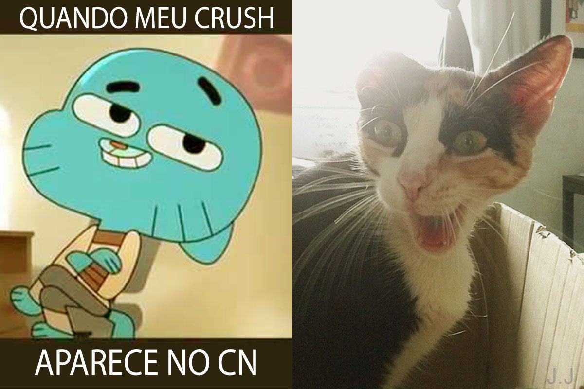 amayarastefane's tweet photo. HAHAHA Quando meu crush aparece no #Cartoon #CNgo #gumball 
By: jj https://t.co/pWEZfzyXHw