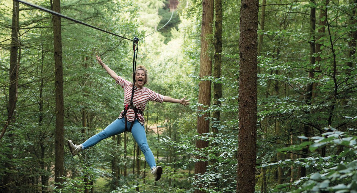 BlueRoomRecords's tweet photo. Gotta spend a day with @GoApeTribe soon. All the adventures! https://t.co/AbAoBFTkWm #JoinTheAdventure https://t.co/I1MNSaVZwO