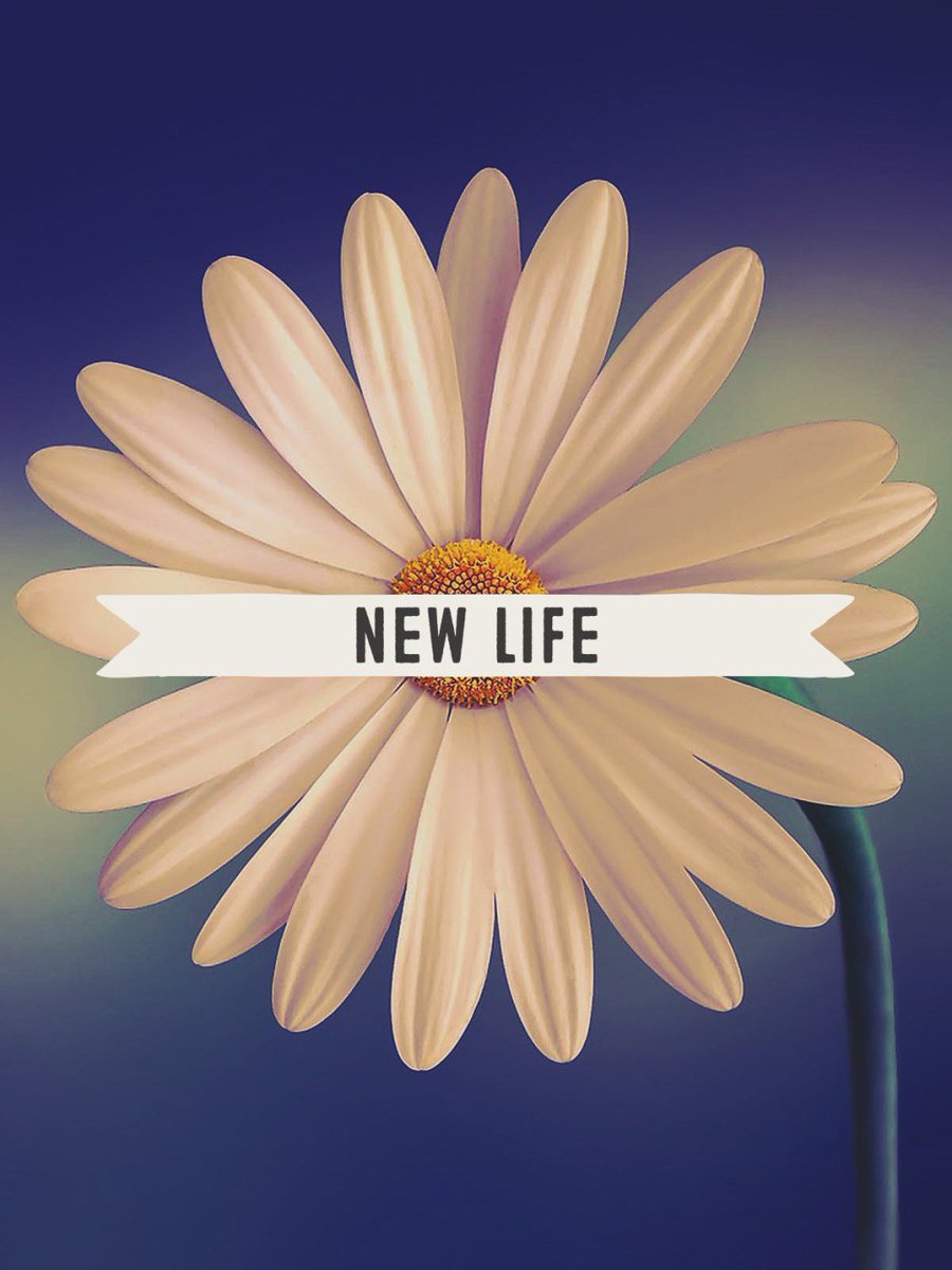atsarahm's tweet photo. New life. https://t.co/6PtPoDx2sF https://t.co/UPUXm5jQuT