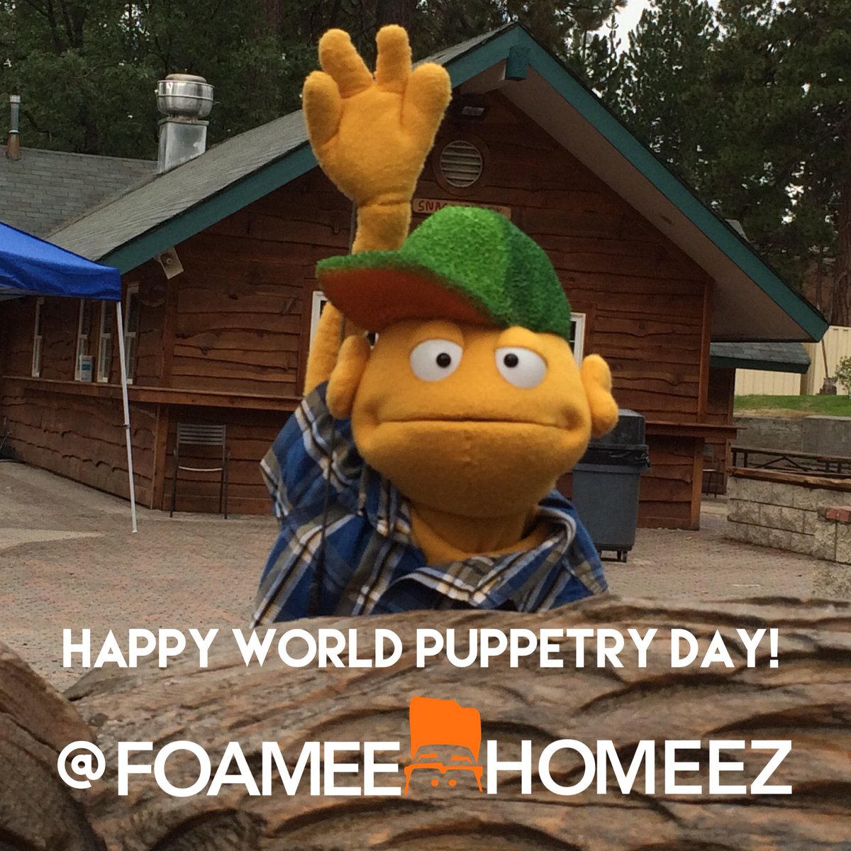 FoameeHomeez tweet picture