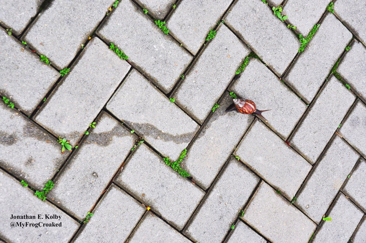MyFrogCroaked's tweet photo. Don't follow the lines. Creative minds follow will, not rules. #mondaymotivation #inspiration https://t.co/2l4SstFkRn