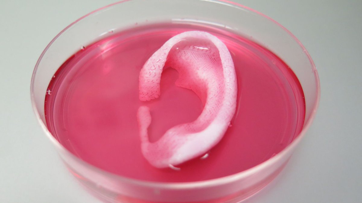 HackleySchool's tweet photo. This 3D printer creates human muscles and tissues that could replace real ones #CoolHack https://t.co/HPgbwbJGo1 https://t.co/9u04MTluFT