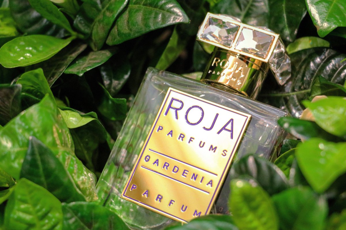 RojaParfums's tweet image. Gardenia Parfum was created from the #scentmemory that Billie Holiday always wore a Gardenia in her hair