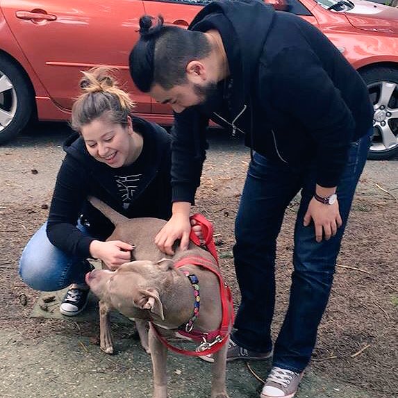 BC SPCA West Van tweet media