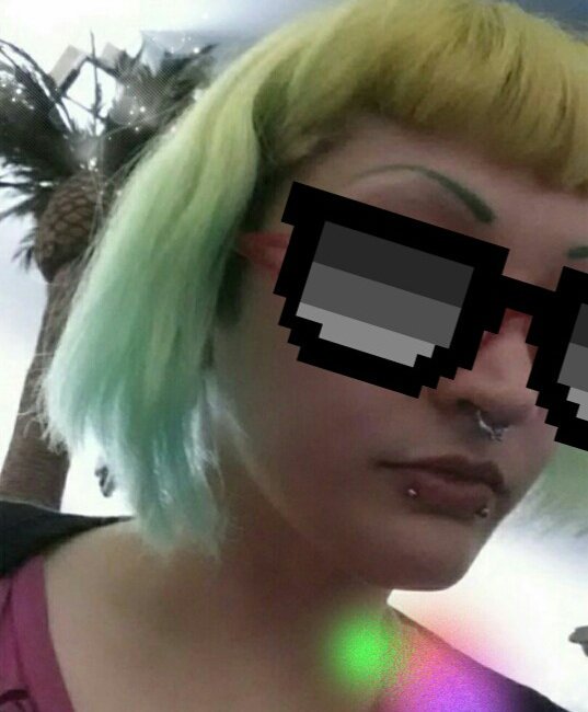 ab5enthia's tweet image. Oh you know just chillin on the beach in.. Hawaii.. *shifty eyes* #fakepalmtree #what?