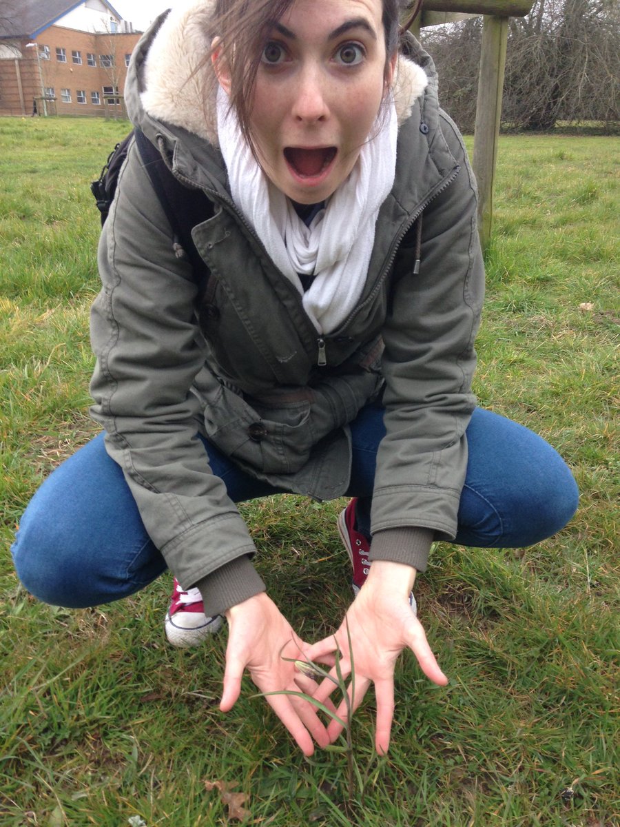 Alexpeterpowell's tweet photo. @Clionabyrne2 is going wild about plant seeing Fritillaria meleagris coming into flower @drmgoeswild https://t.co/8ajJ28zyPo