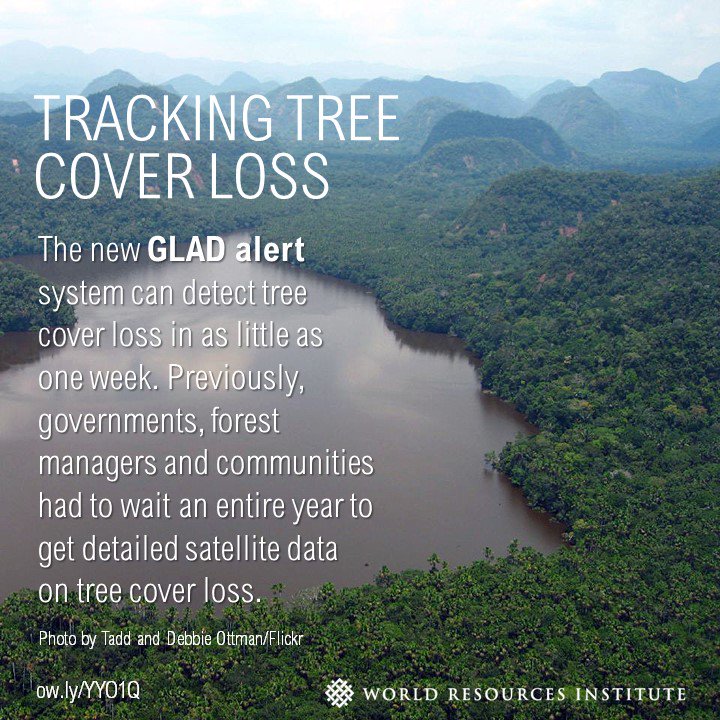 WorldResources's tweet photo. Know how forests changed this month via new satellite alerts https://t.co/QwdNpYAEx0 #MonitorWithGLAD #intForestDay https://t.co/gARopqQS31
