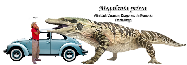 megalania size comparison eine kurze geschichte des mammuts megalania size comparison