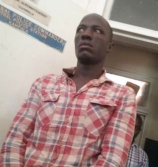 The Observer tweet media