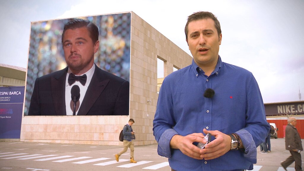 3CatInfo tweet media