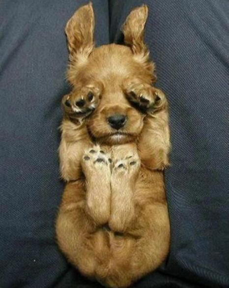 MusicallyDancer's tweet image. When someone turns on the light but you're still sleeping.