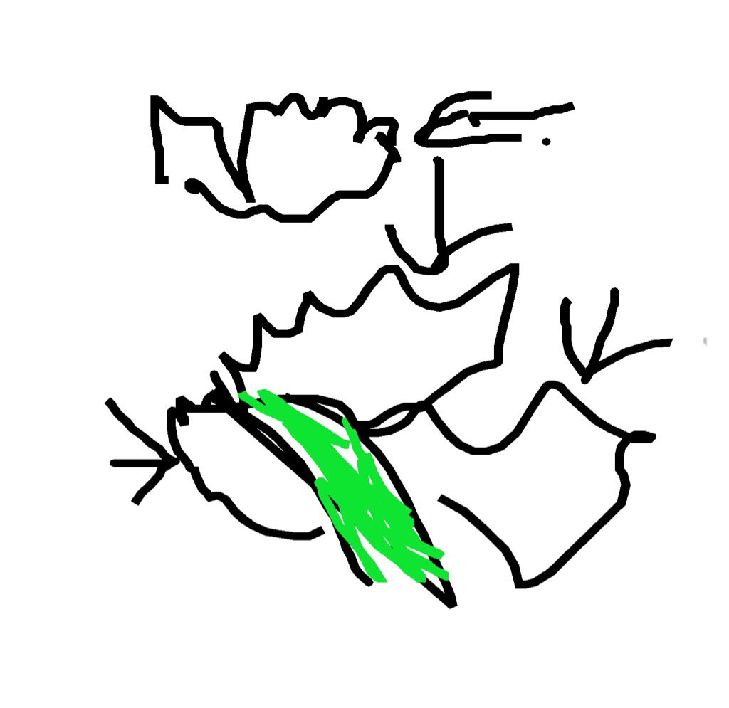 calmjewel6's tweet photo. Guess what I've drawn in #DrawNGuess!
Join me now ► https://t.co/CBYduxZNl1 this
Cotten https://t.co/CBYduxZNl1 https://t.co/JslwT5cvmW
