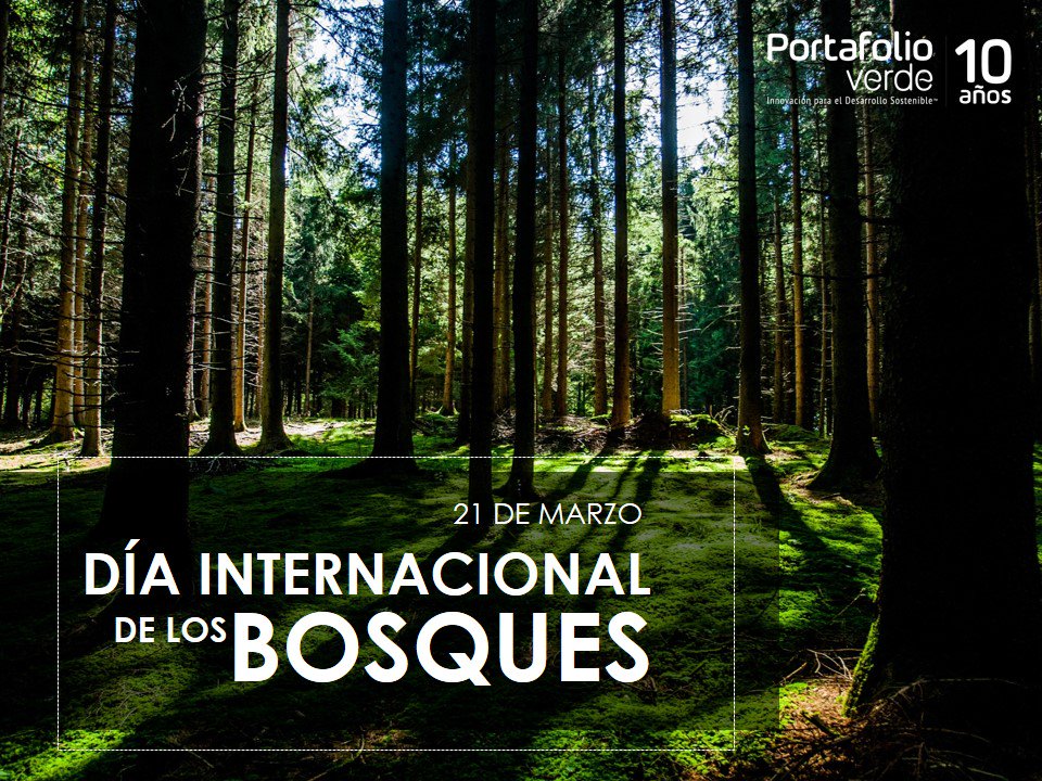 PortafolioVerde's tweet photo. #DiaInternacionalDeLosBosques Genera conciencia sobre su importancia para abastecer de agua dulce nuestro planeta. https://t.co/hQLT8hHTw3