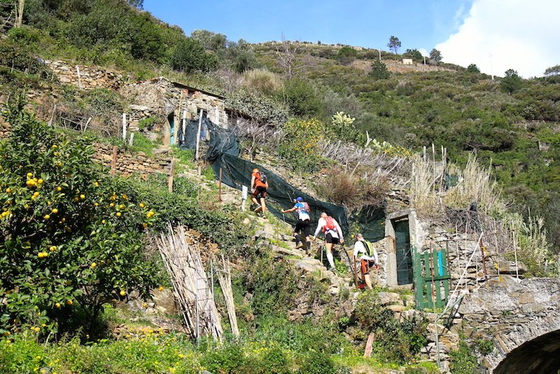 irene_righetti's tweet photo. Good job trail-runners! @sciacchetrail so hard, so amazing! Photo by @moulinsky 
https://t.co/BiLzY73dmS https://t.co/bDioyLQ4Yg