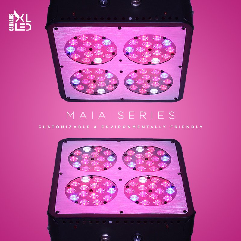 cannabisXLLED's tweet photo. Check out our Maia Series!
#CannabisXLLED #GrowWithLED #IndoorGrow #GrowMarijuana #Weedlight #LEDLight https://t.co/HUvOkXCui8