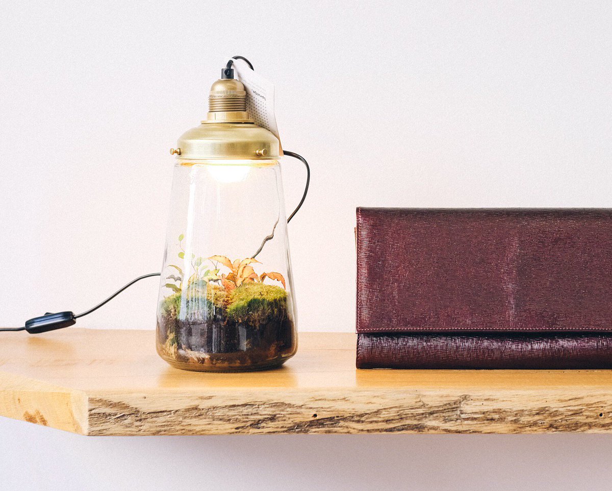 No #spring without a tweet ! Enjoy the light and flowers outside and let this week looks bright. #WorldPoetryDay