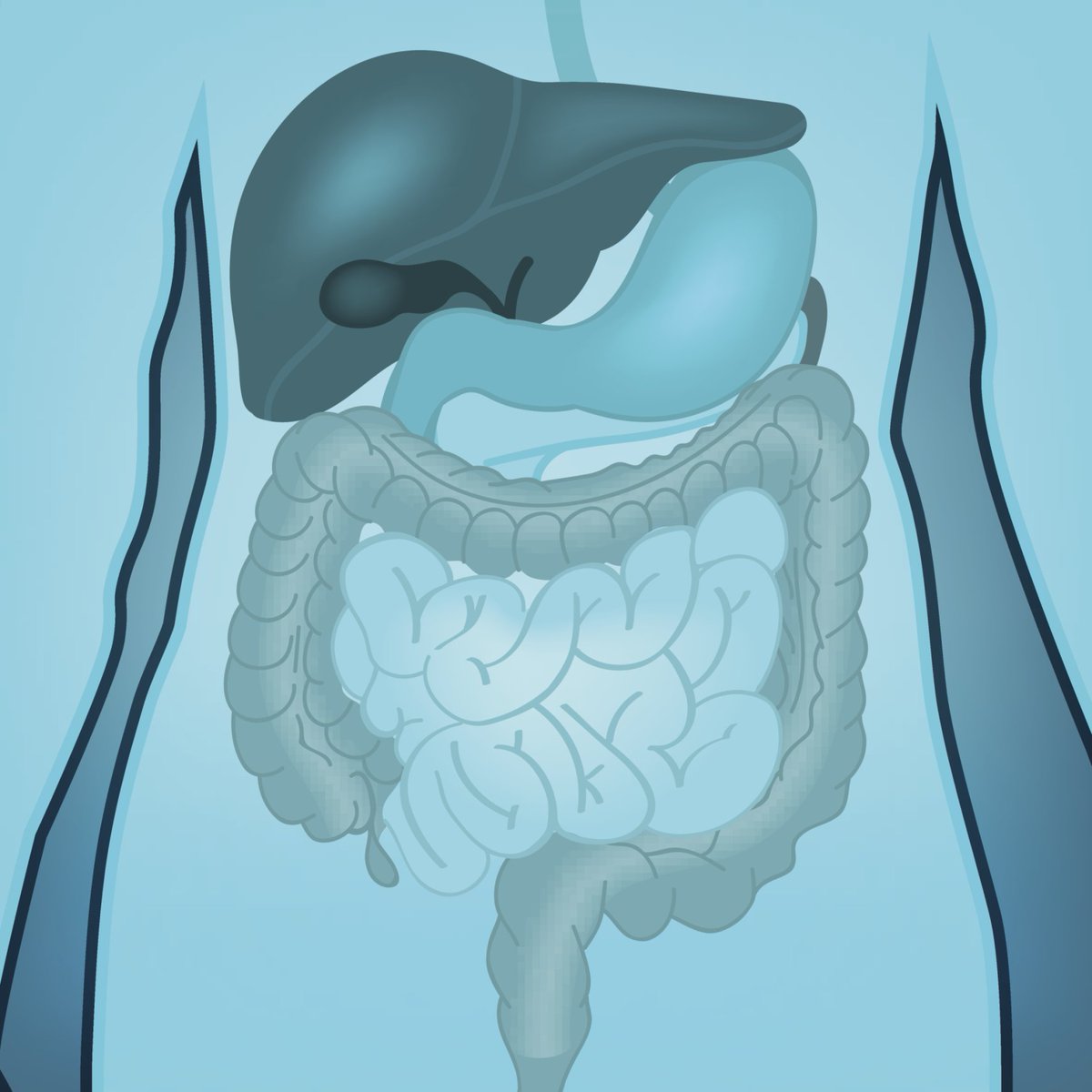 GutMicrobiota Health tweet media