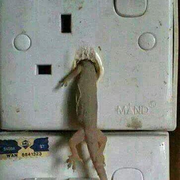 safetyphoto's tweet photo. #crappyelectrical #electricalfails #electricalfuckups #electricalhacks #electricalmemes… https://t.co/BTMFojoKcV https://t.co/jlWjlcnAuk