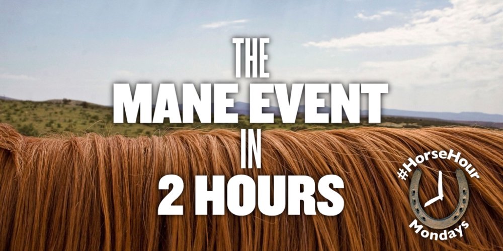#HorseHour tweet media