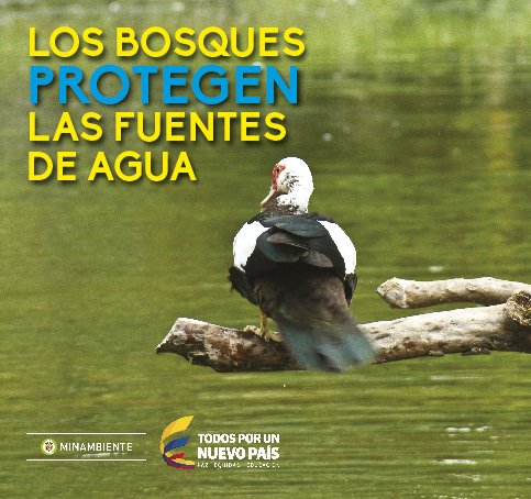 MinAmbienteCo's tweet photo. Tres cuartas partes del agua dulce del mundo provienen de las cuencas forestales. #DíaDeLosBosques https://t.co/k4ccbOkd87