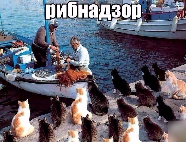 Oleg_Fisher777's tweet image. #твори_добро ))