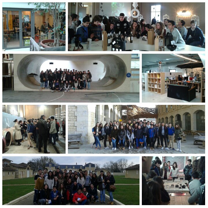 codemagijon's tweet photo. 3º y 4º ESO @codemagijon en @chateaurouillac @hangardarwin. Magnífica experiencia un año más @Bordeaux #saintgenes https://t.co/MKL3sftC6z