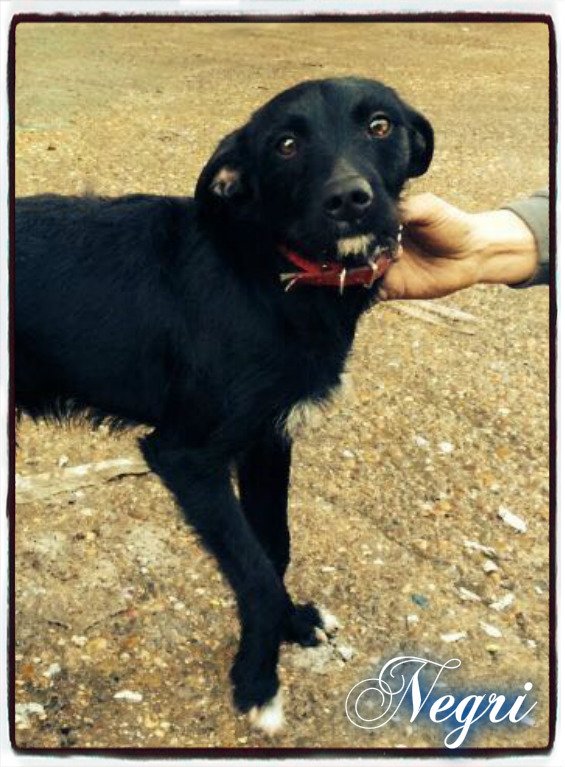 SANTUARIO LA CANDELA tweet media