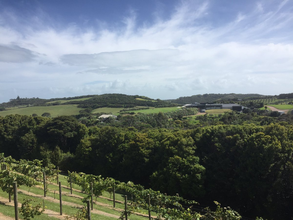 aaronwiilson's tweet photo. On stunning #waiheke for @fraserallan1's wedding. https://t.co/60TKkNwqRl