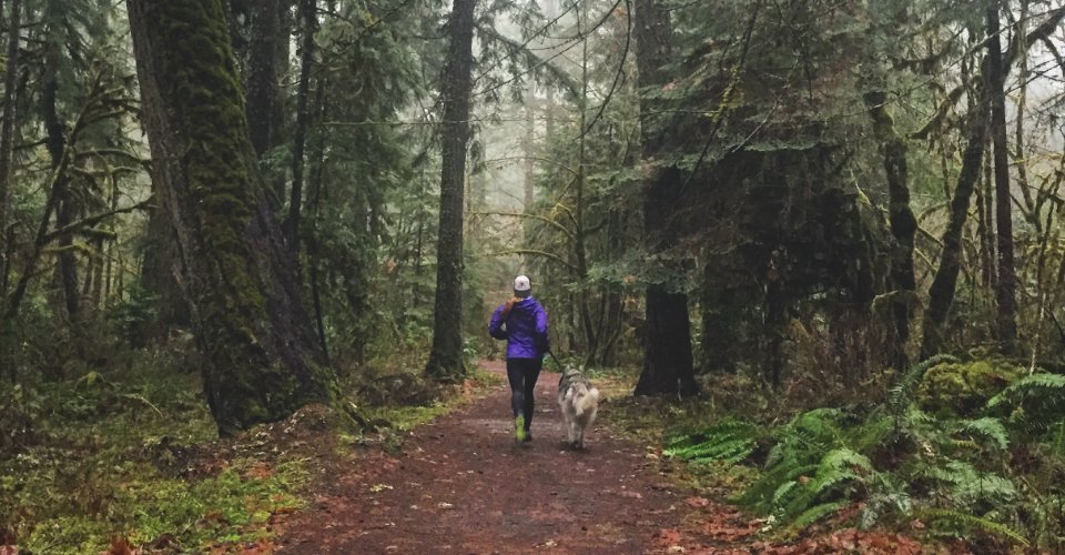 TravelOregon's tweet photo. If you like charming small towns and tall waterfalls, you might like Oakridge: https://t.co/XBdSTzfztJ https://t.co/A1FfyX7ALg