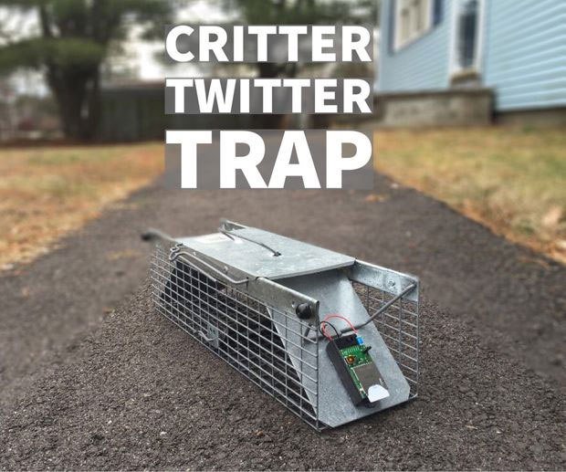 Eth_Dev_News's tweet image. #IoT @hackaday critter twitter trap traps critters, Pings twitter wp.me/pk3lN-OXy #indiedev #botdev #gamedev