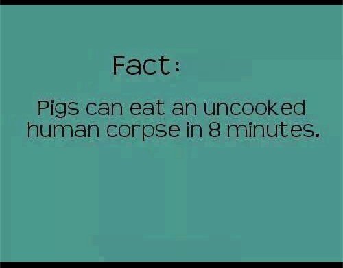 Catherine (@doghouse24sw) on Twitter photo 