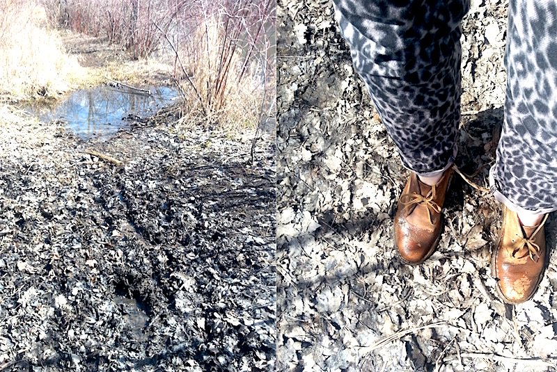 catherinewilsey's tweet photo. Yes, leopard IS the new camo, actually. π―π #MudFail #WardrobeWin https://t.co/kIraaWLKTO