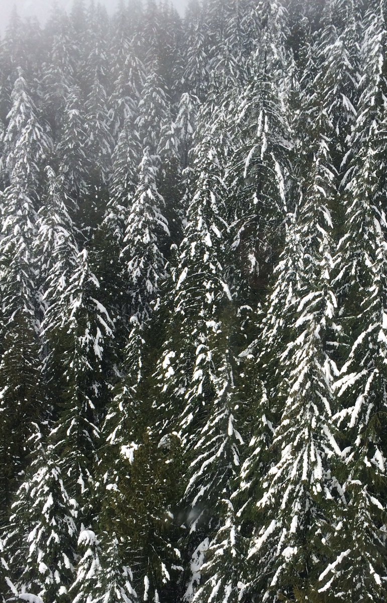 jessmacaleese's tweet photo. Such a beautiful commute to work the other day! Shoots on mountains yes please! @VisionPhotogs https://t.co/D0pdUW1DCX