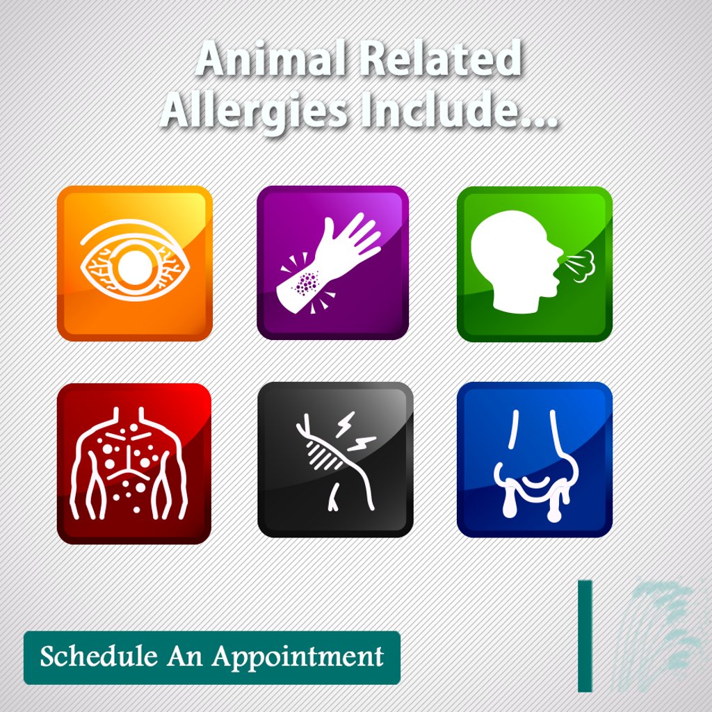 Not sure if your symptoms are due to animal related allergies? Contact us. #AnimalAllergies