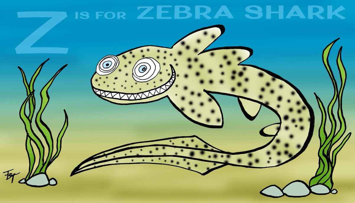TbToons's tweet image. #zebrashark @AnimalAlphabets  #AnimalAlphabets #kidlitart #Daily_Doodle #cartoon #illustration #sharks #sharkweek