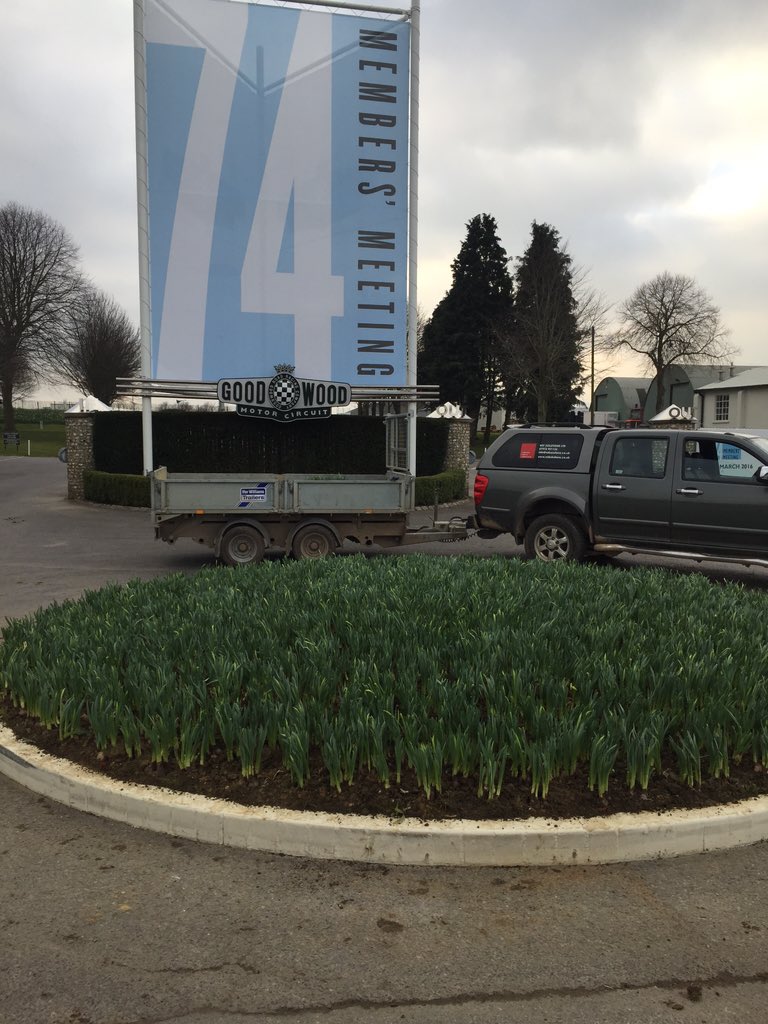 nsf_solutions's tweet photo. Goodwood Members Meeting Roundabout planted https://t.co/1yK9qK5atX