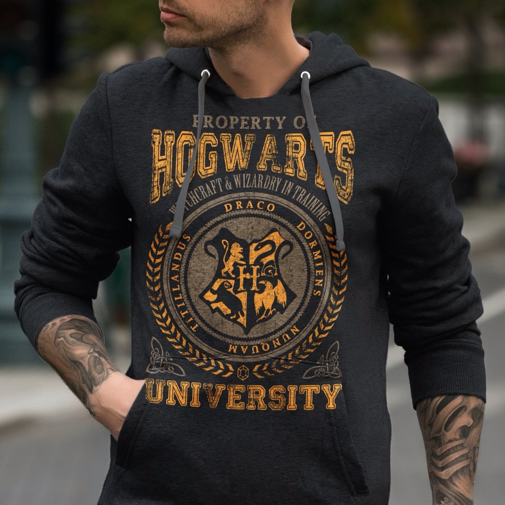 TweetsHogwarts's tweet photo. RT si la quieres: https://t.co/dqtCokk3NH