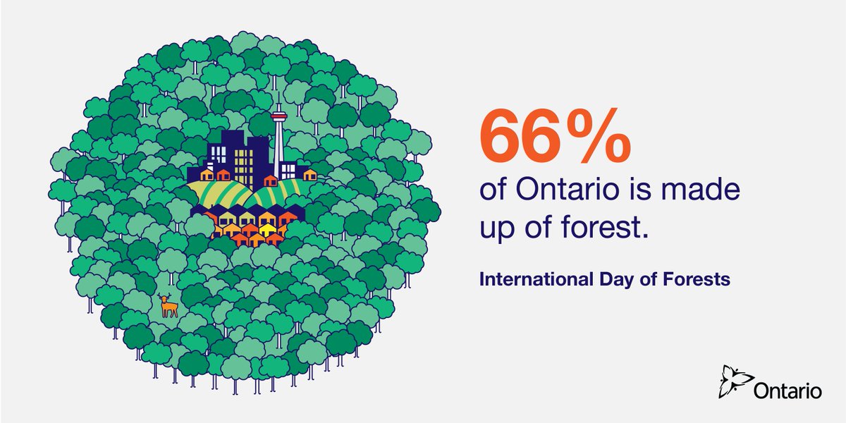 Happy #IntlForestDay! Did you know? 66% of Ontario is forested. That's 71 million hectares.