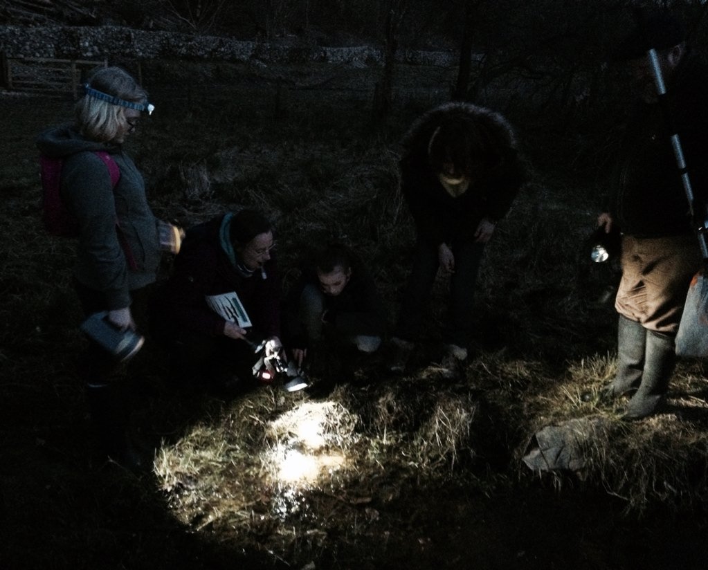 Anne Carter tweet media