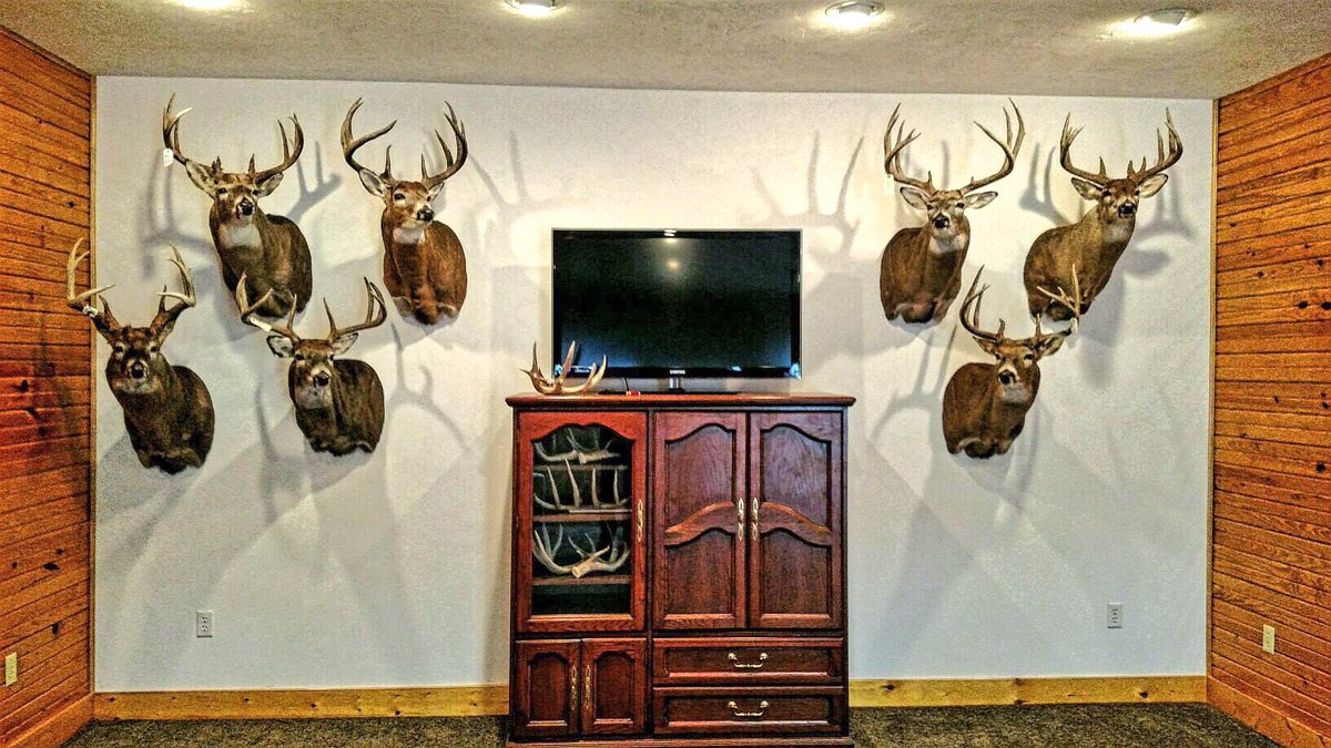 DruryOutdoors's tweet photo. A masterpiece in the making!! Deer mounts beat regular home decor EVERY day of the week. RT if you agree! #DIY https://t.co/u8jiNIJd0a