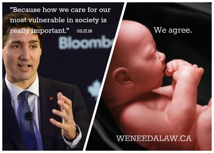 weneedaLAW's tweet photo. .@JustinTrudeau we hope that one day, our Prime Minister will show compassion for all of the vulnerable. #cdnpoli https://t.co/n5icRAGXOM
