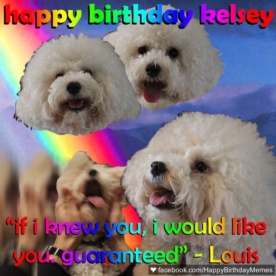 Happy Birthday Memes on Twitter: Happy Birthday Memes on Twitter: