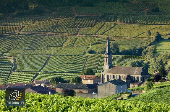 odetojoylife's tweet photo. Visit the wine cellar of an #AncientMonastery where the best #Chabliswines are grown. https://t.co/CjnYgSdxQn https://t.co/kb3JQGJTWE