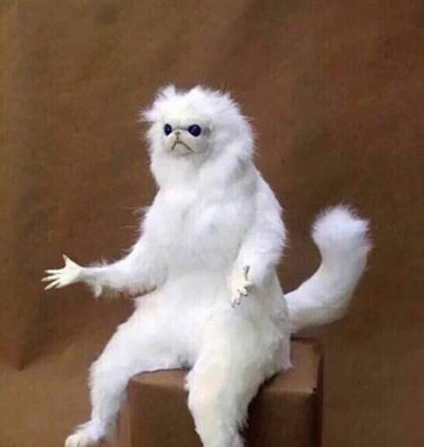 makeitreinss's tweet photo. I just told this guy he was a typical cis man and he was like I'M NOT A SIS!!!???? and I'm just like https://t.co/5SMMggCbxR